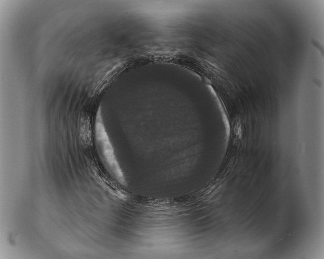 X0000102801252200809081104