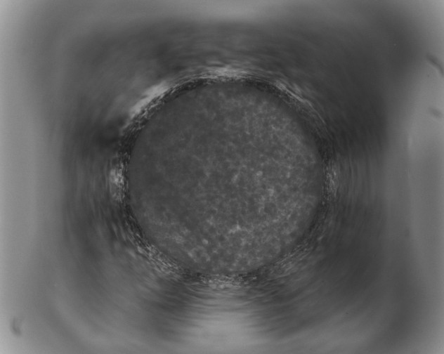 X0000102801254200809081104