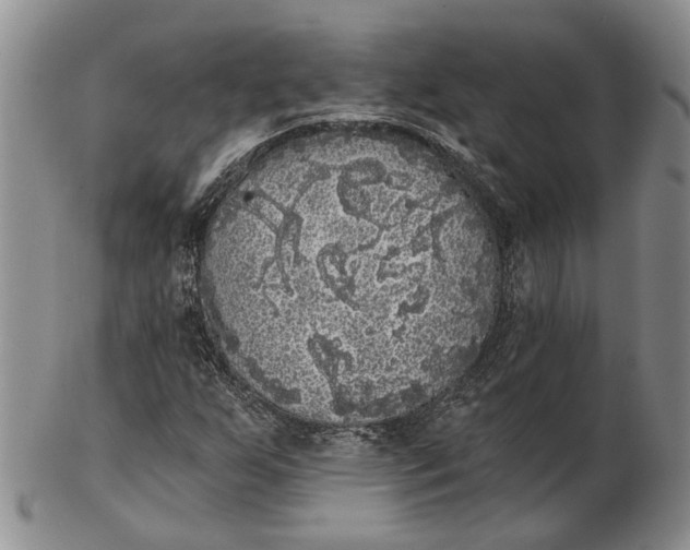 X0000102801255200809081104