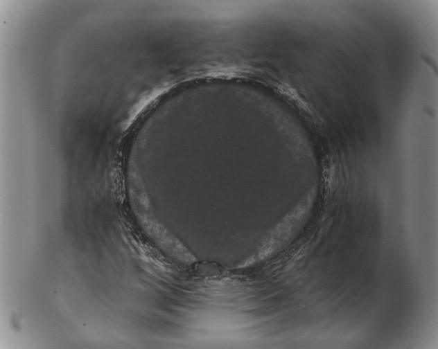 X0000102801256200809081104