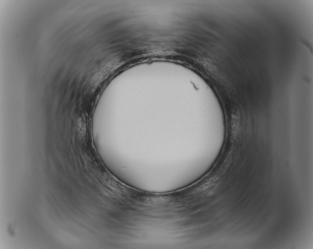 X0000102801257200809081104