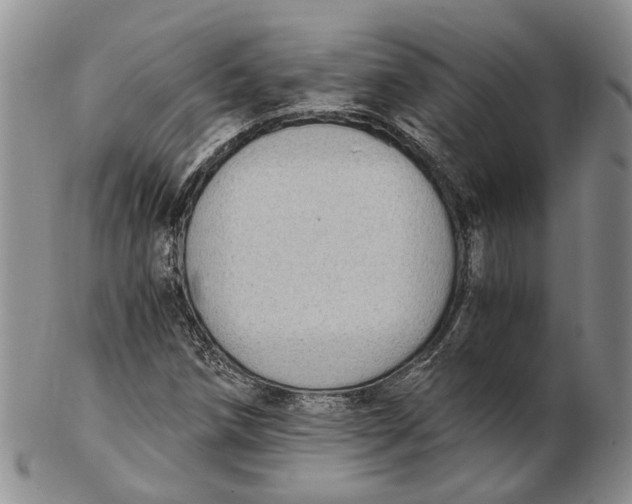 X0000102801258200809081104