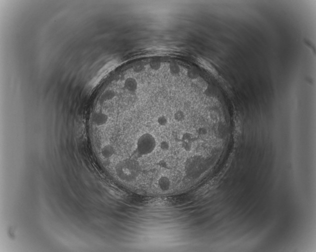 X0000102801259200809081104