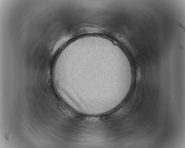 X0000102801261200809081104