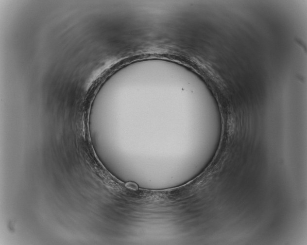 X0000102801262200809081104