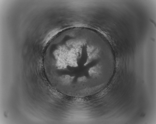 X0000102801263200809081104