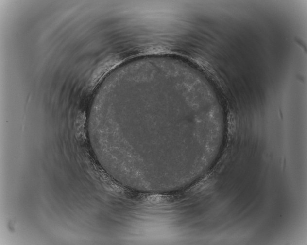 X0000102801265200809081104