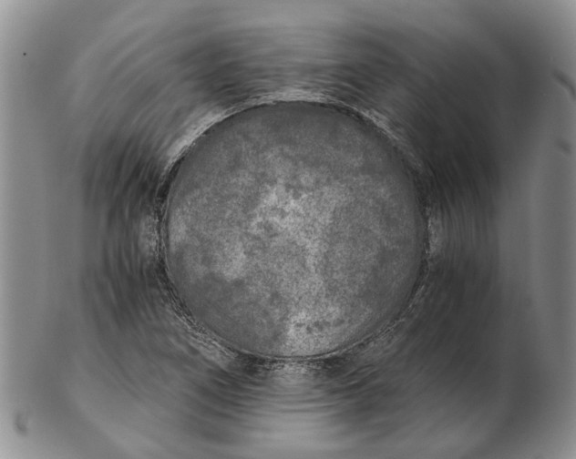 X0000102801266200809081104