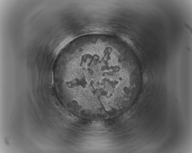 X0000102801267200809081104