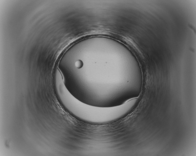 X0000102801268200809081104