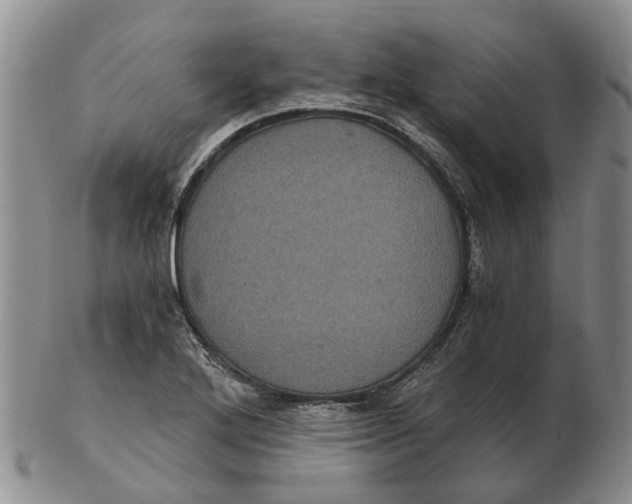 X0000102801272200809081104