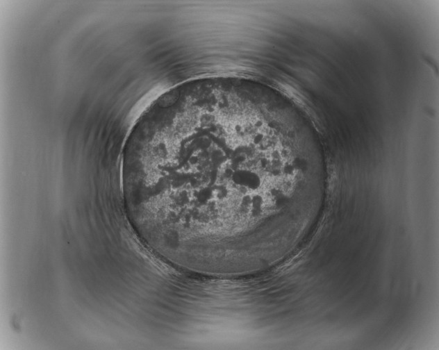 X0000102801275200809081104