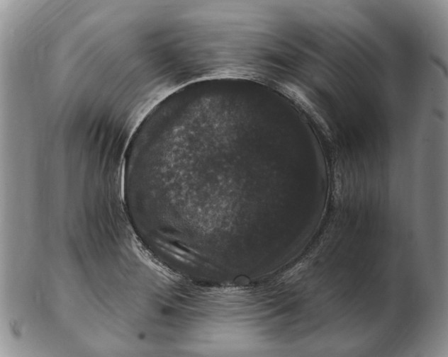 X0000102801276200809081104