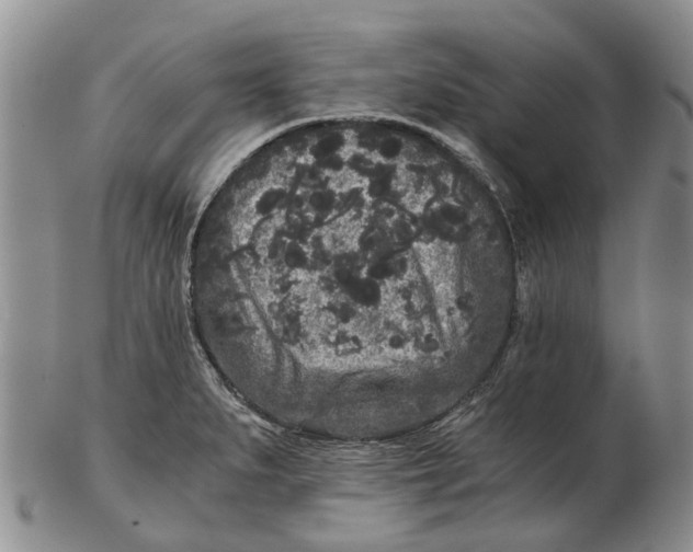 X0000102801279200809081104