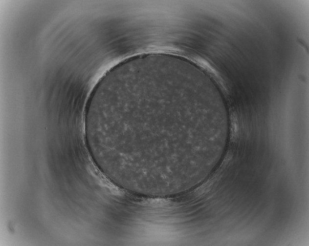 X0000102801280200809081104