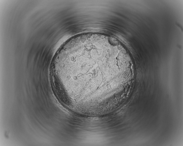 X0000102801283200809081104