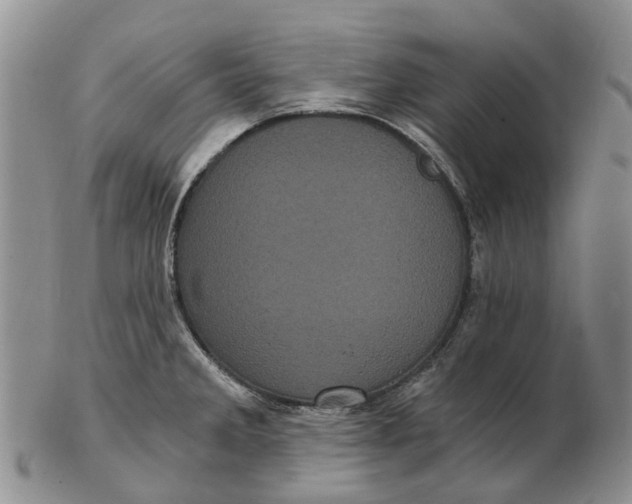 X0000102801285200809081104