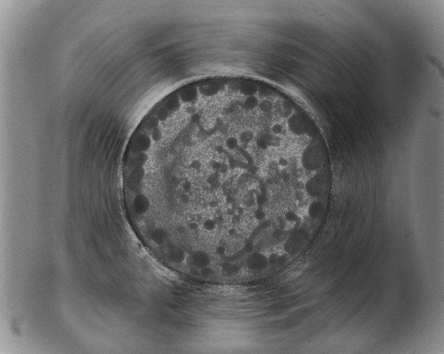 X0000102801287200809081104