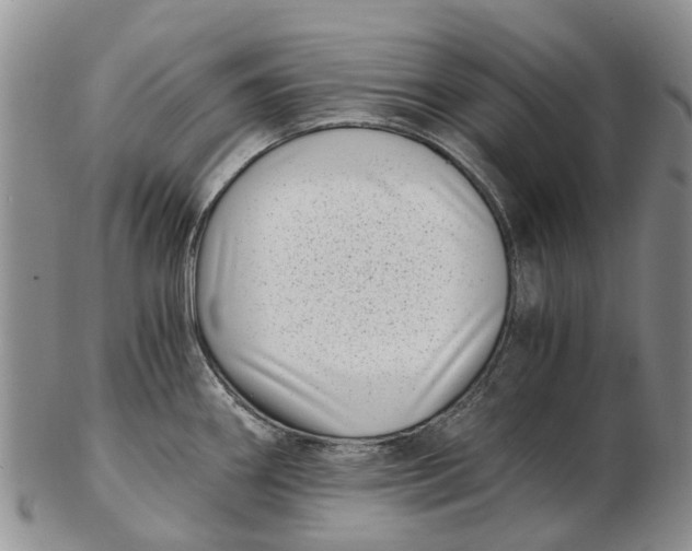 X0000102801290200809081104