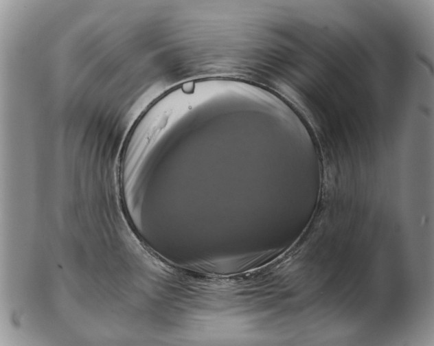 X0000102801291200809081104