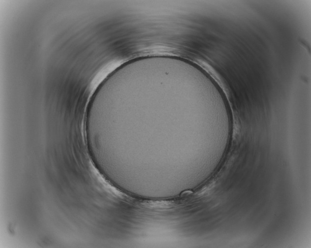 X0000102801293200809081104