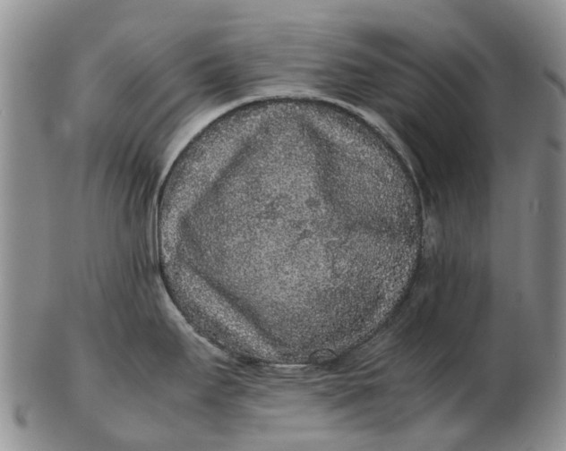 X0000102801295200809081104