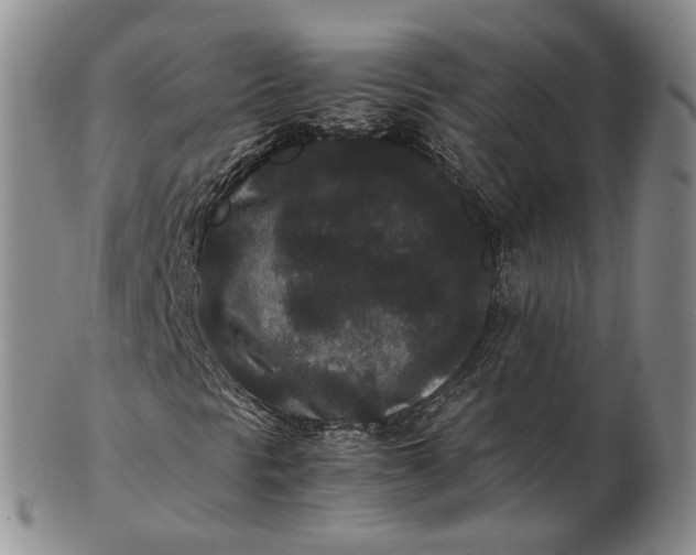 X0000102801297200809081103