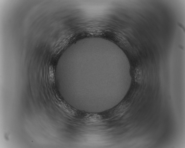 X0000102801298200809081103