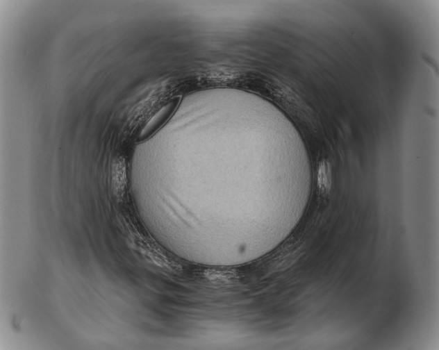 X0000102801299200809081103