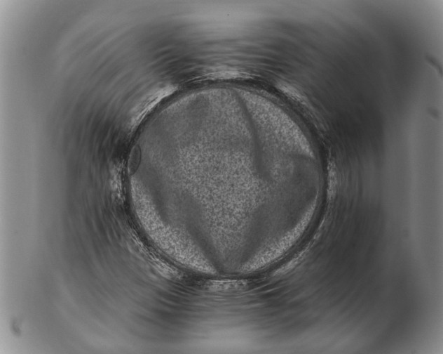 X0000102801305200809081103