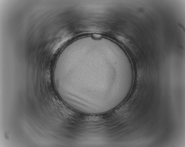 X0000102801307200809081103