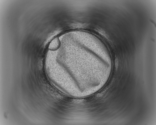 X0000102801309200809081103