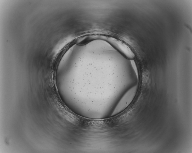 X0000102801310200809081103