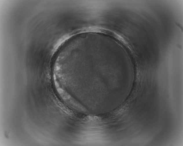 X0000102801312200809081103