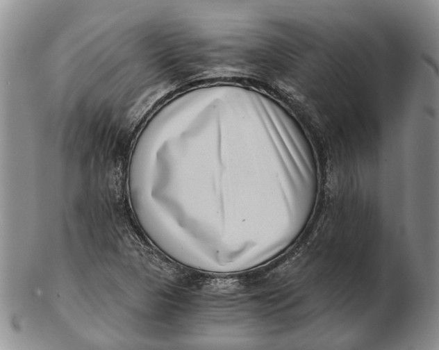 X0000102801313200809081103