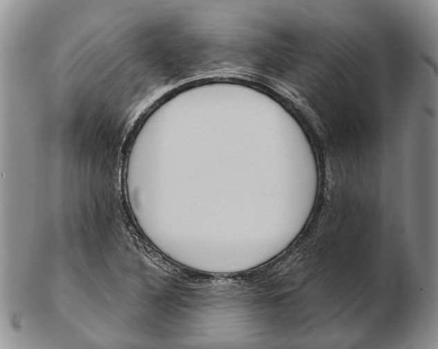 X0000102801316200809081103