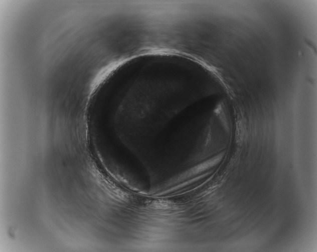 X0000102801319200809081103