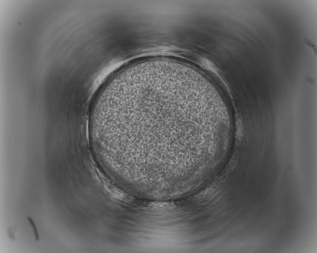 X0000102801320200809081103