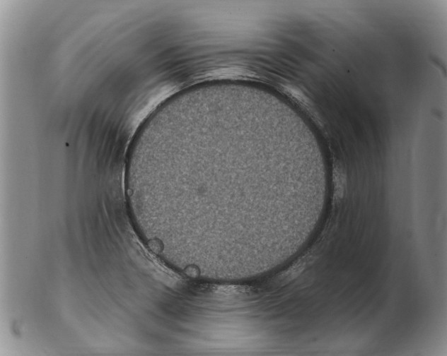 X0000102801322200809081103