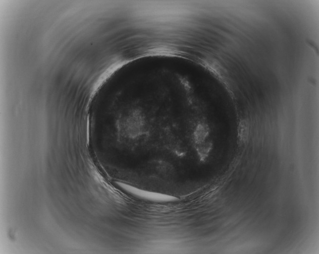 X0000102801323200809081103