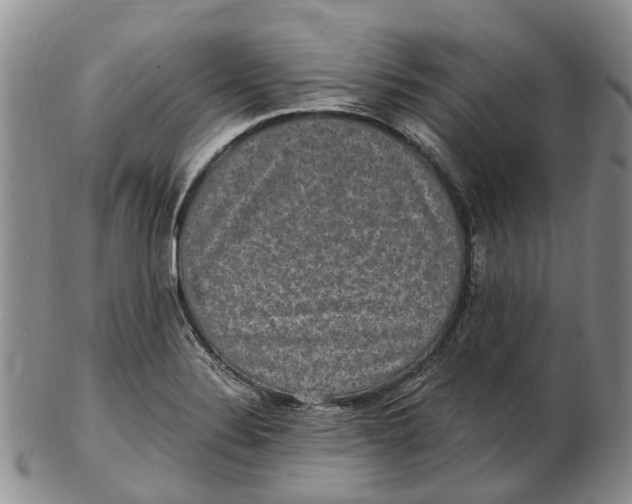 X0000102801324200809081103