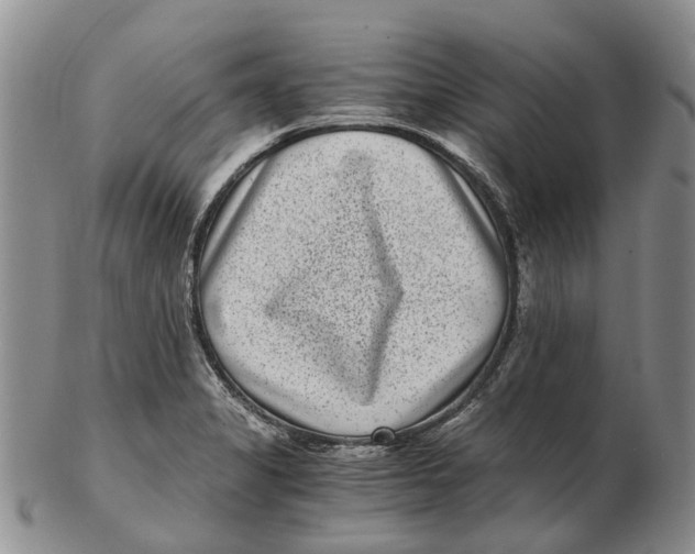 X0000102801325200809081103