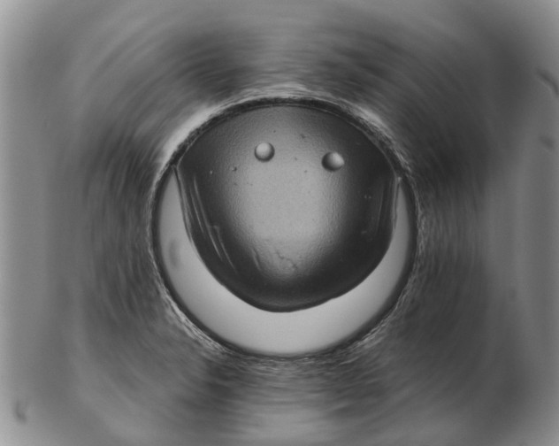 X0000102801326200809081103