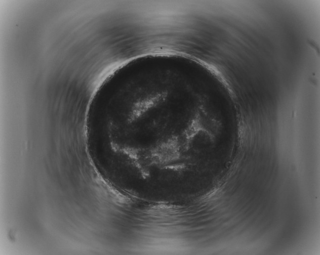 X0000102801327200809081103