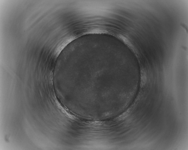 X0000102801329200809081103