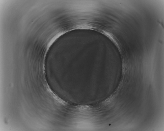 X0000102801331200809081104