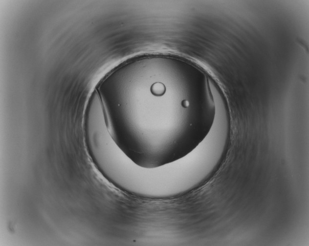 X0000102801335200809081104