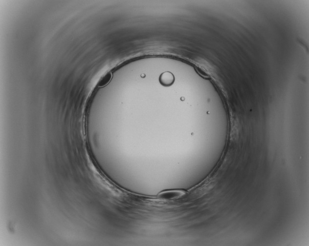 X0000102801342200809081104