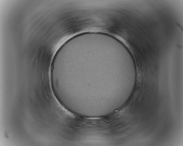 X0000102801343200809081104