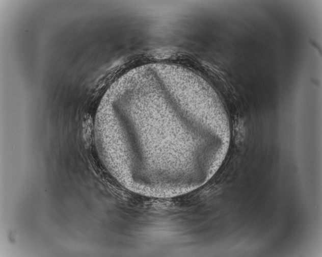 X0000102801349200809081103